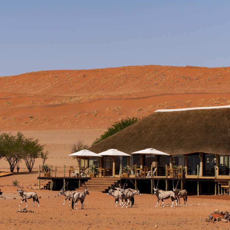 Kwessi Dunes- 10