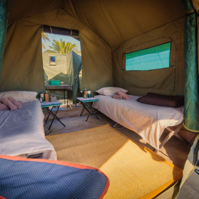 Mobile Camping Safari- 11