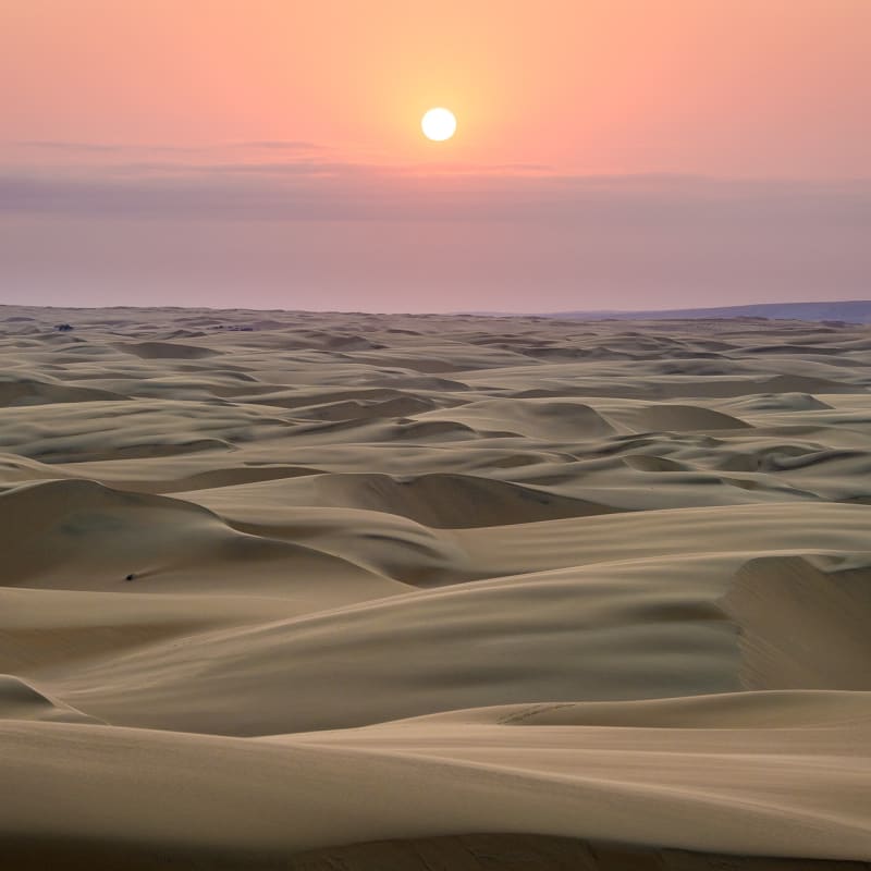Desert landscapes - 