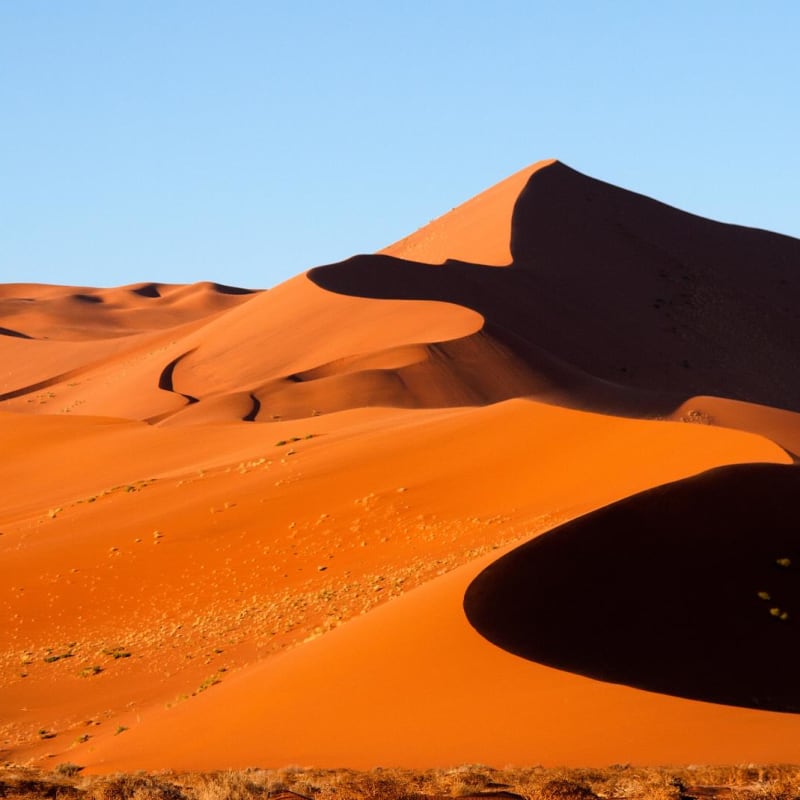 Desert Landscape