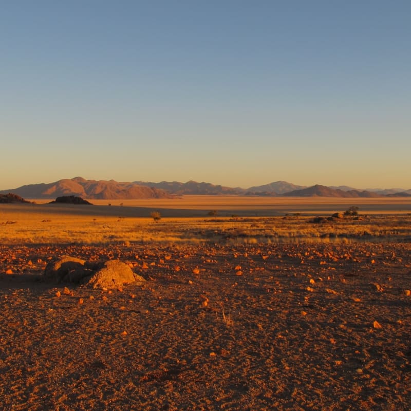 Landscape
