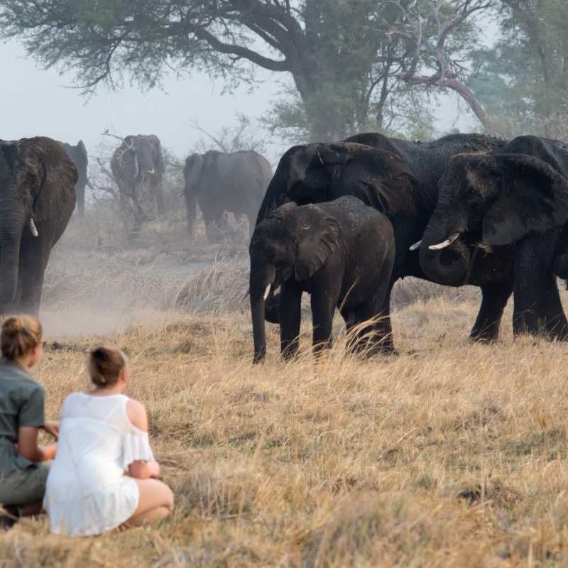 Walking safari in the Caprivi 