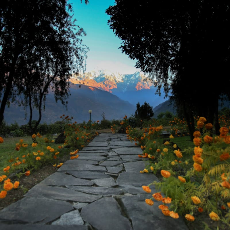 Path 