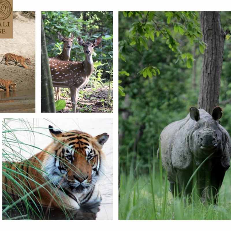 Tiger Tops Karnali Lodge- 3