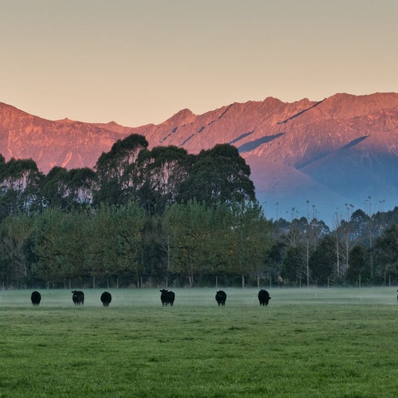 Farmland