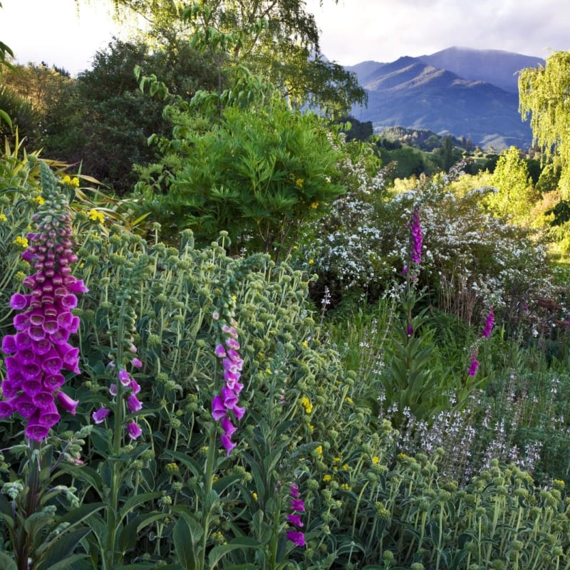 Views across the Orinoco Valley -  Edenhouse