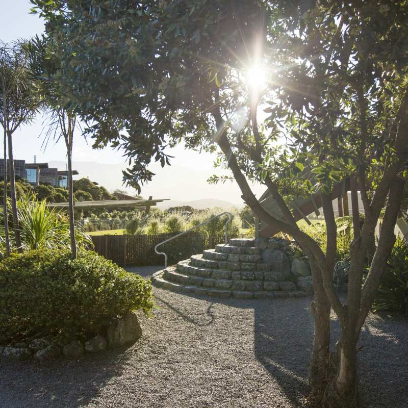 Hapuku Lodge- 18