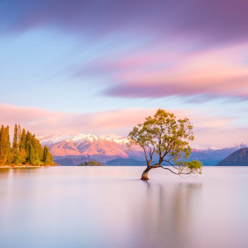 Lake Wanaka 