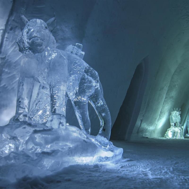 Ice Sculpture - Kirkenes Snow Hotel