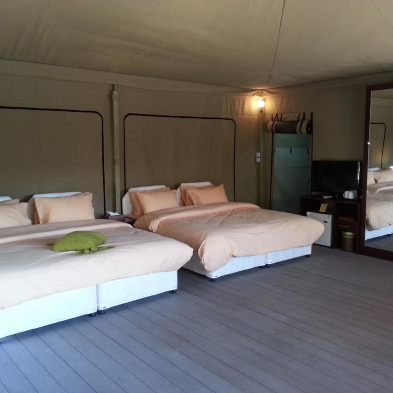 Eco Tent - Ras al Jinz Turtle Reserve