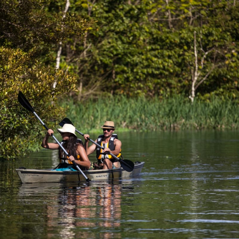 Kayaking - Delfin III