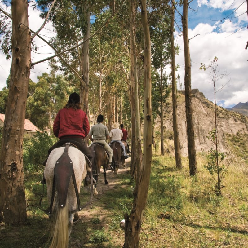 Horseriding - Belmond Las Casitas