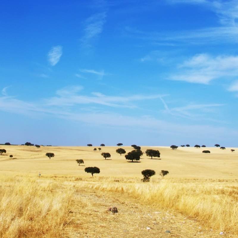 Alentejo - Discover Alentejo and Andalucia