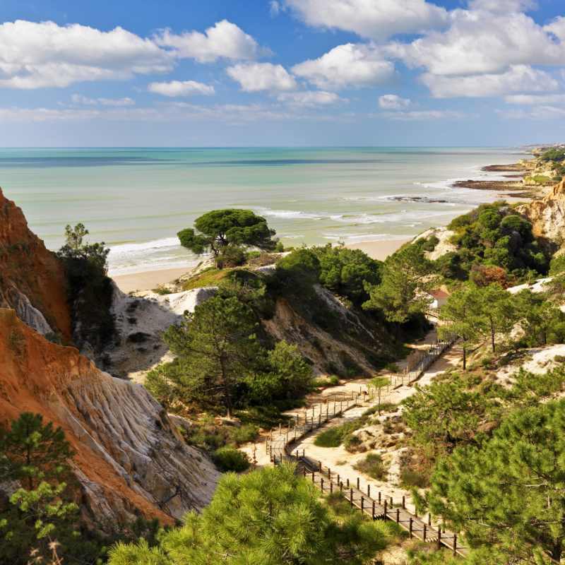 Beach - A family adventure in Portugal