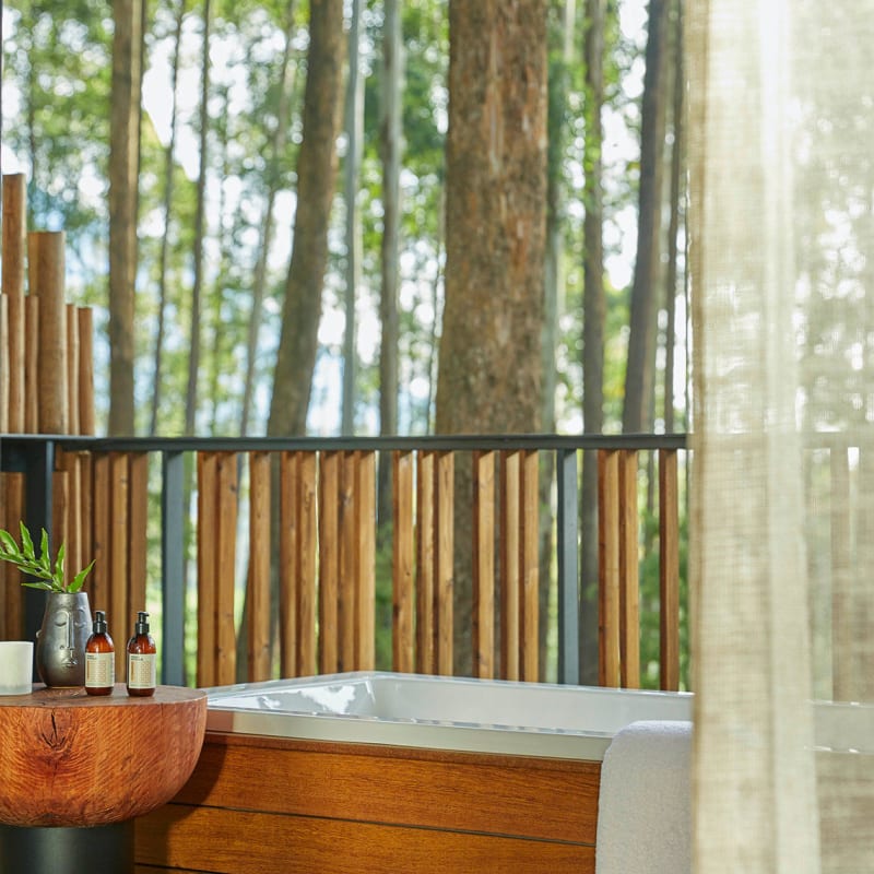 Suite Outdoor Bathroom  