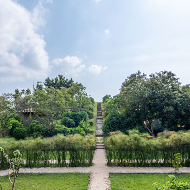 Gardens 