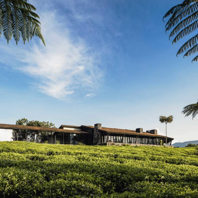 Nyungwe Forest Exterior  
