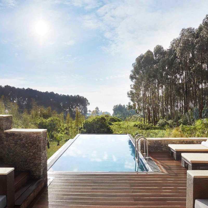 OneOnly Gorilla Nest Pool - Suite  