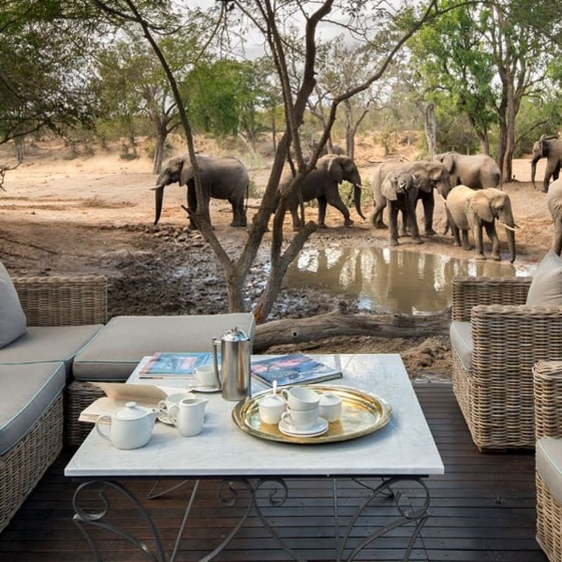Elephant herd - Ngala Safari Lodge