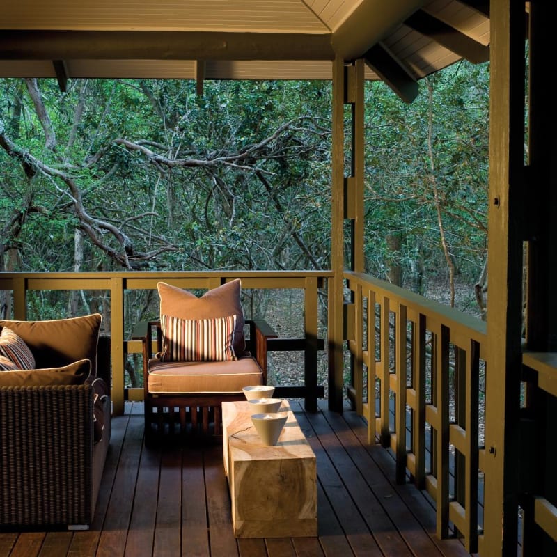 Phinda Forest Lodge