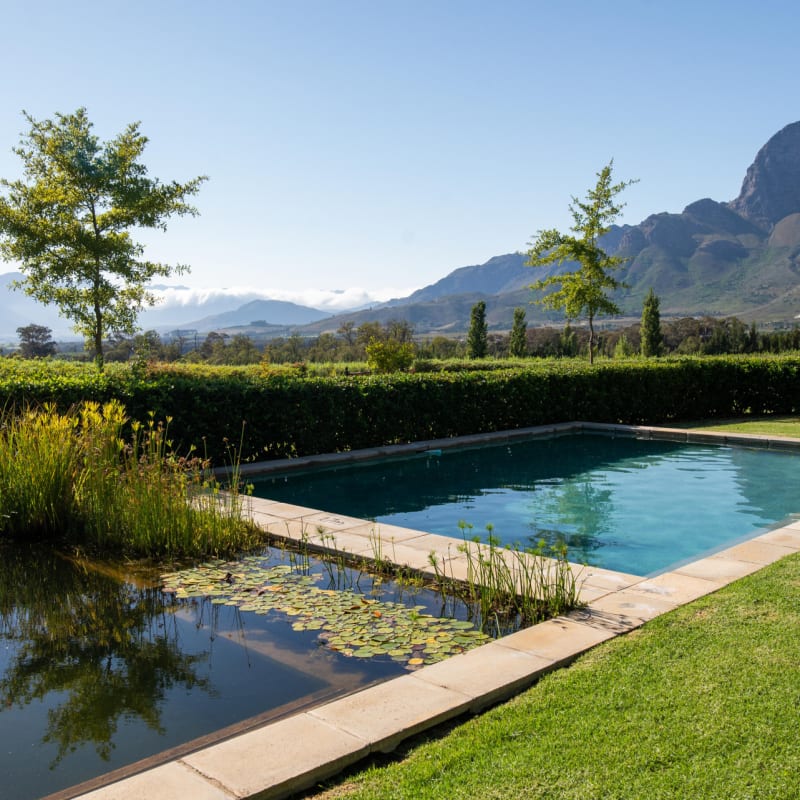 Pool cottage 