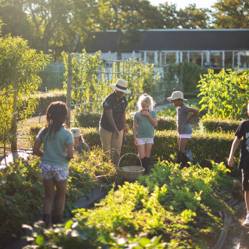 Kids in garden 
