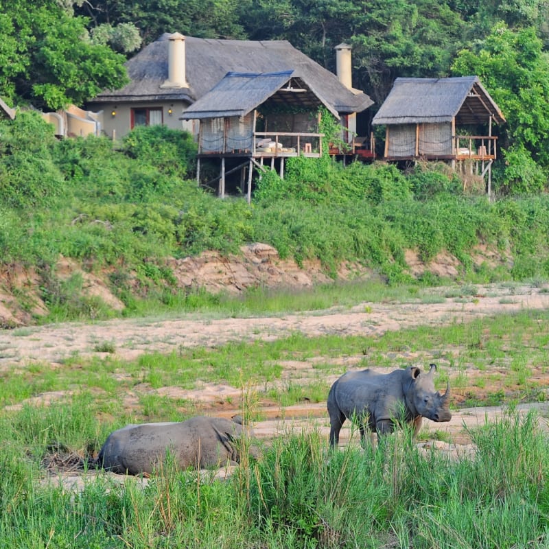 Rhino exterior at Jock Safari Lodge