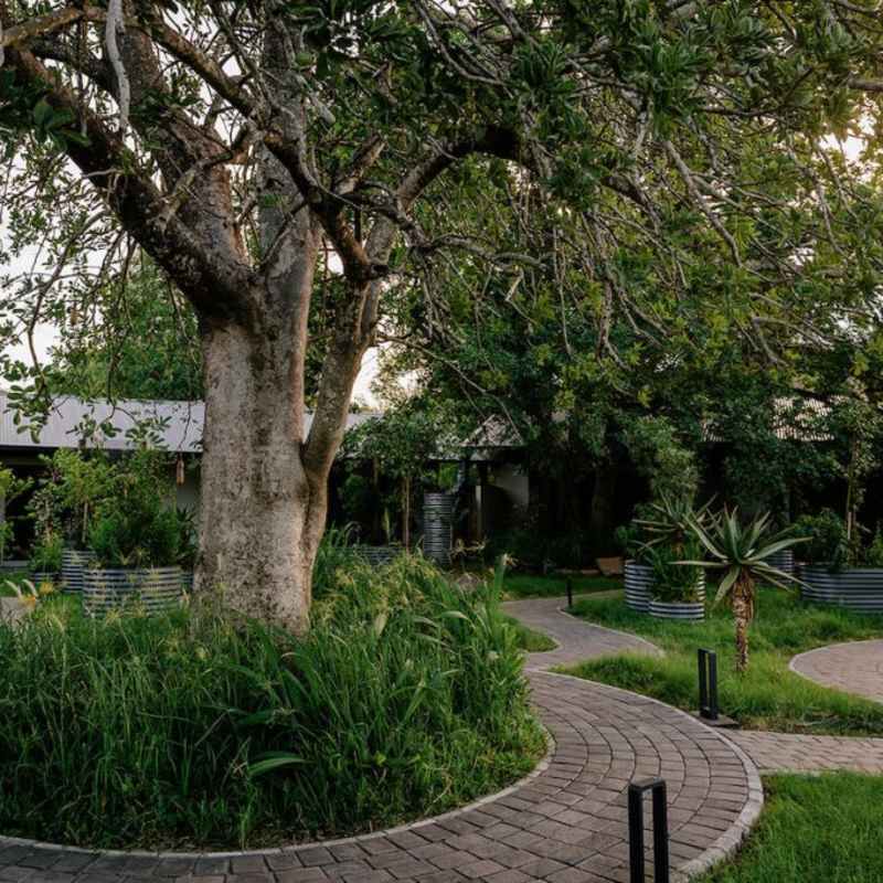 Kruger Shalati- 5