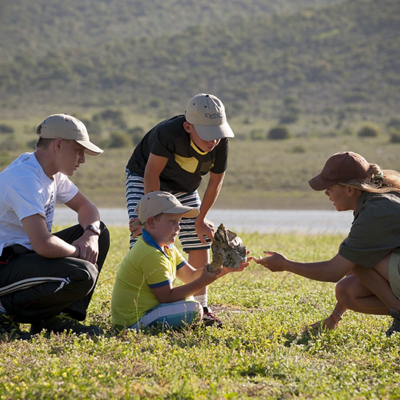 Finding skulls - Kwandwe Ecca Lodge