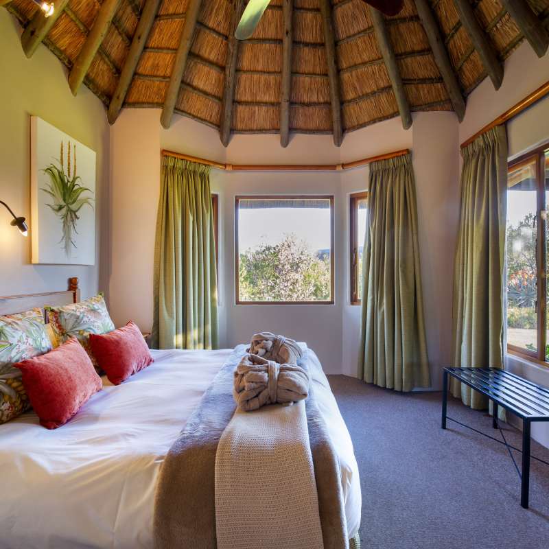 Montusi Mountain Lodge- 7