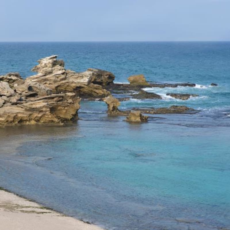 Beach picnic - Morukuru Ocean House 