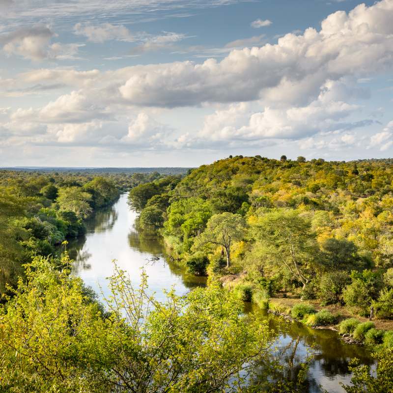 Singita Lebombo Lodge- 7