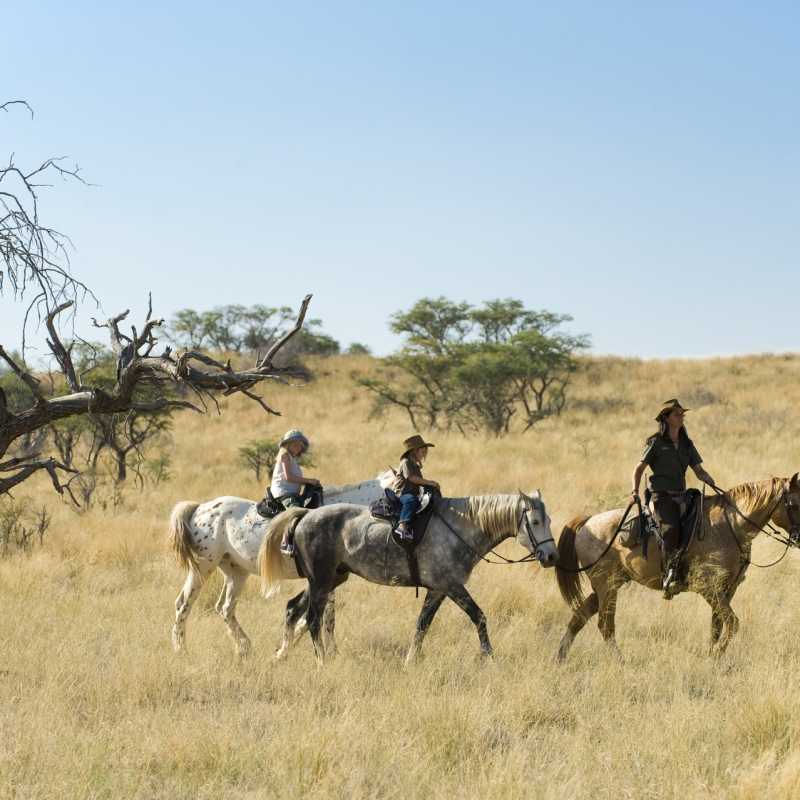 Tswalu riding 
