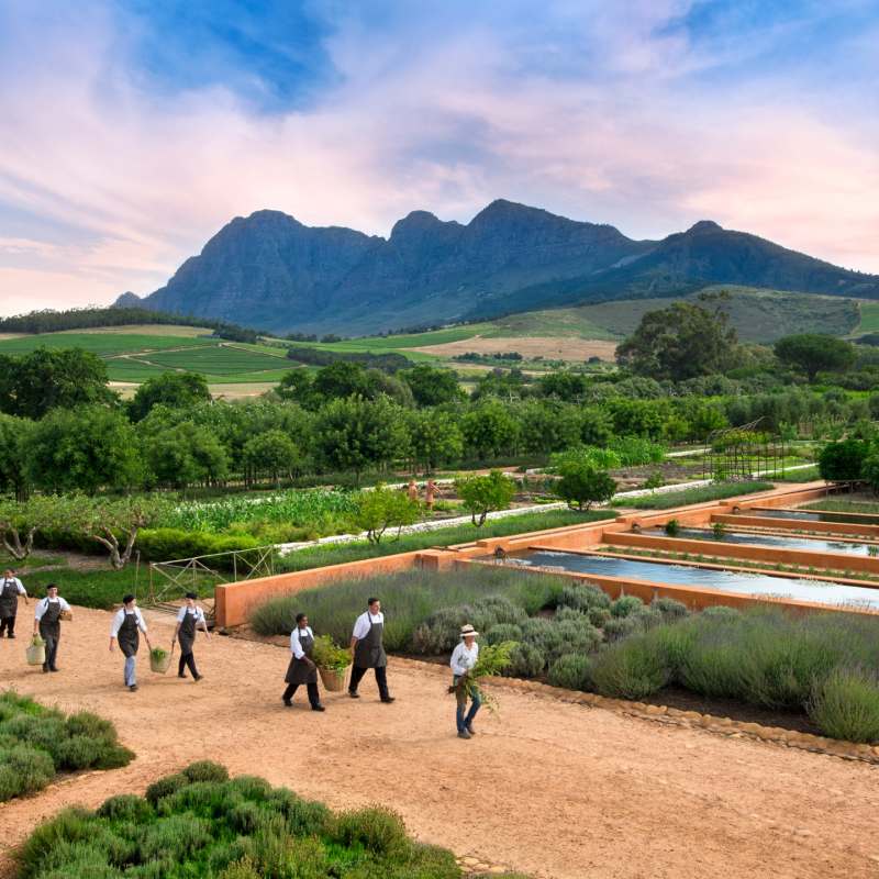 Babylonstoren Gardens 