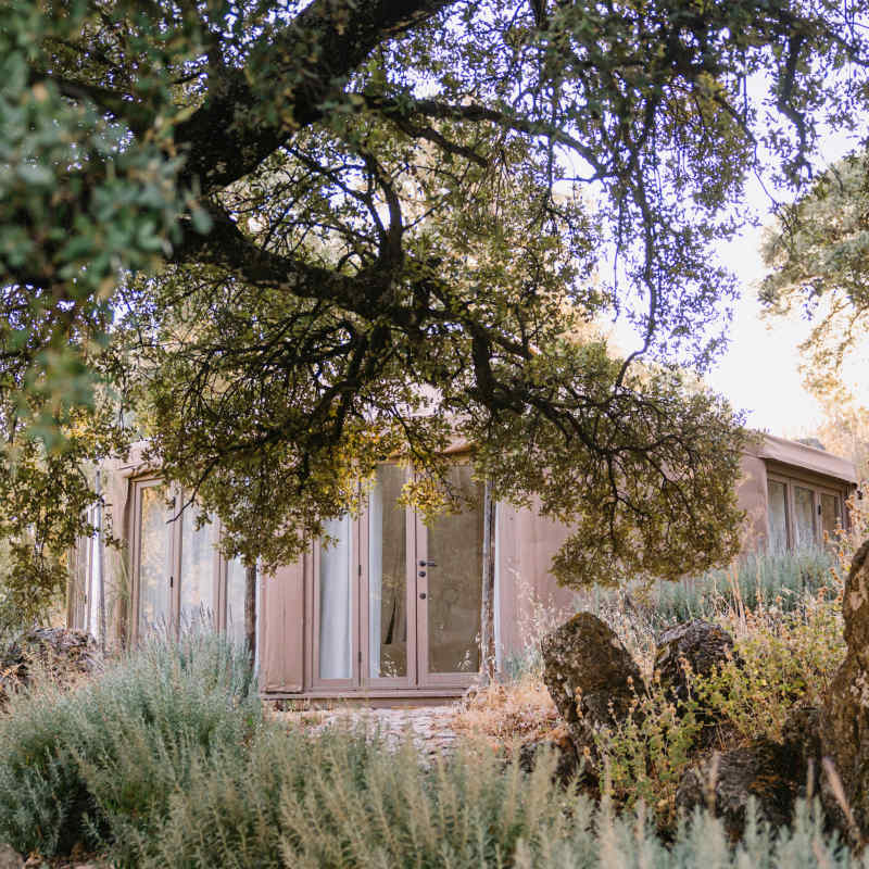 Finca La Donaira- 19