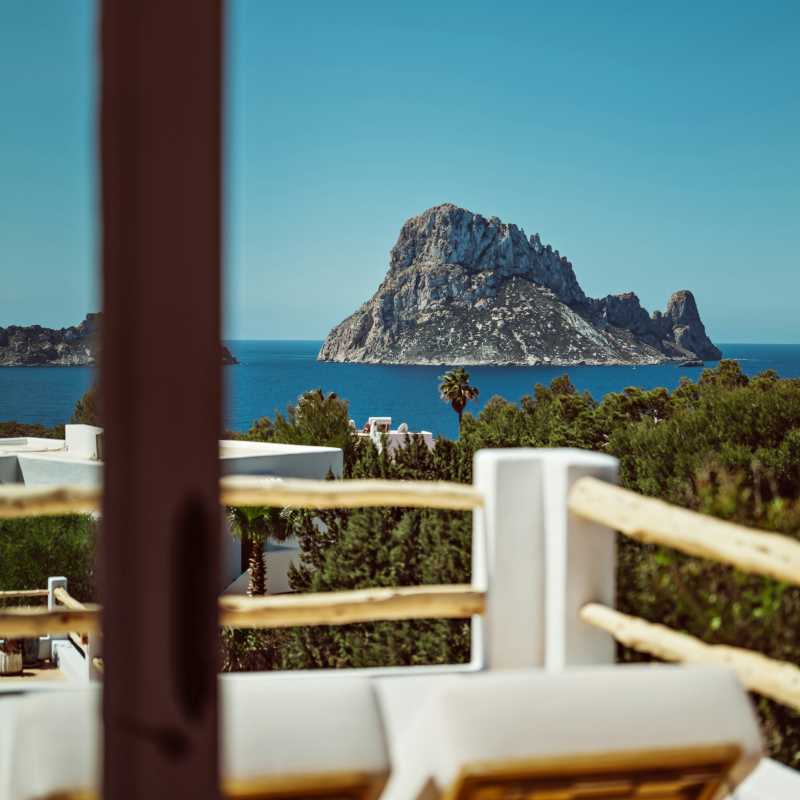 Petunia Ibiza- 13