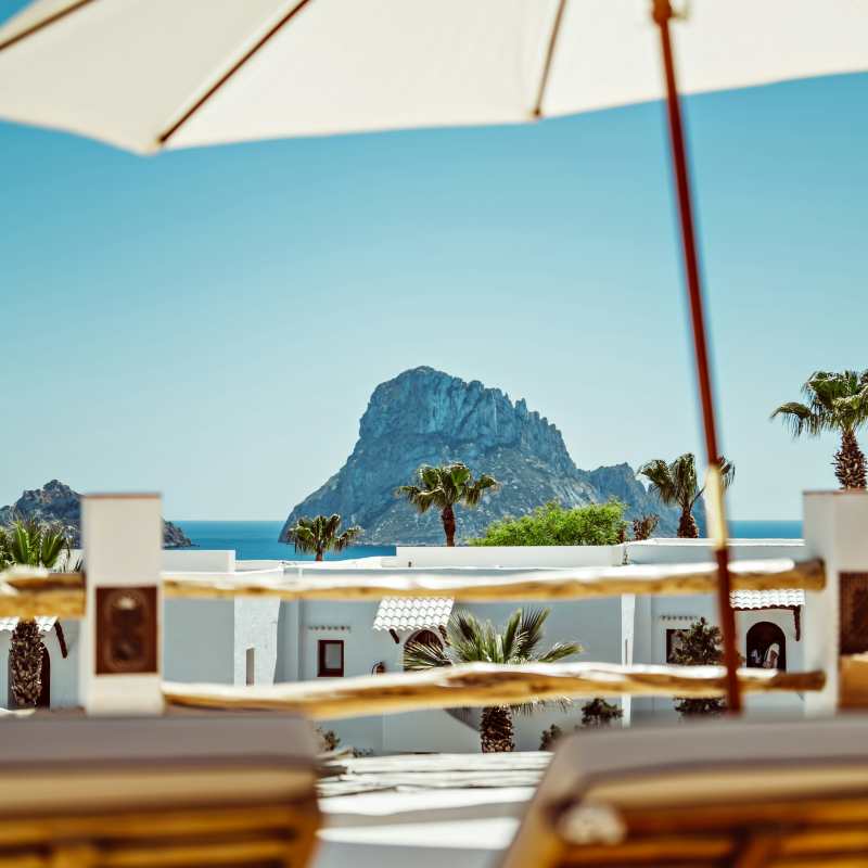 Petunia Ibiza- 16