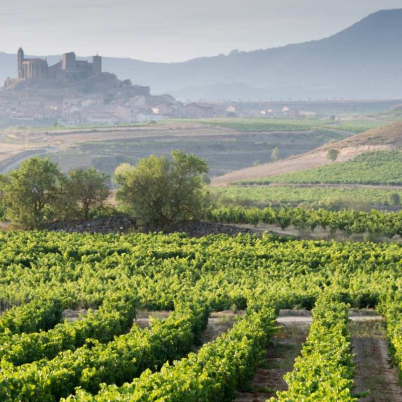 Vineyards - Indulgent escape to the Basque Country
