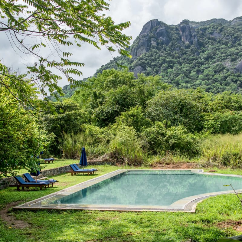 Pool - Gal Oya Lodge