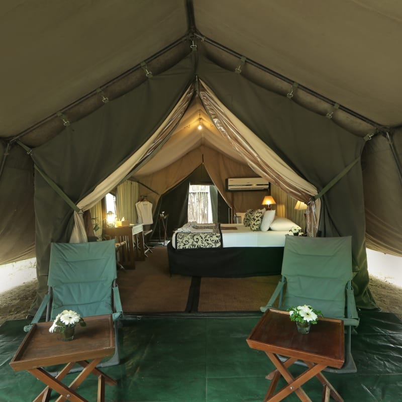 Tent 