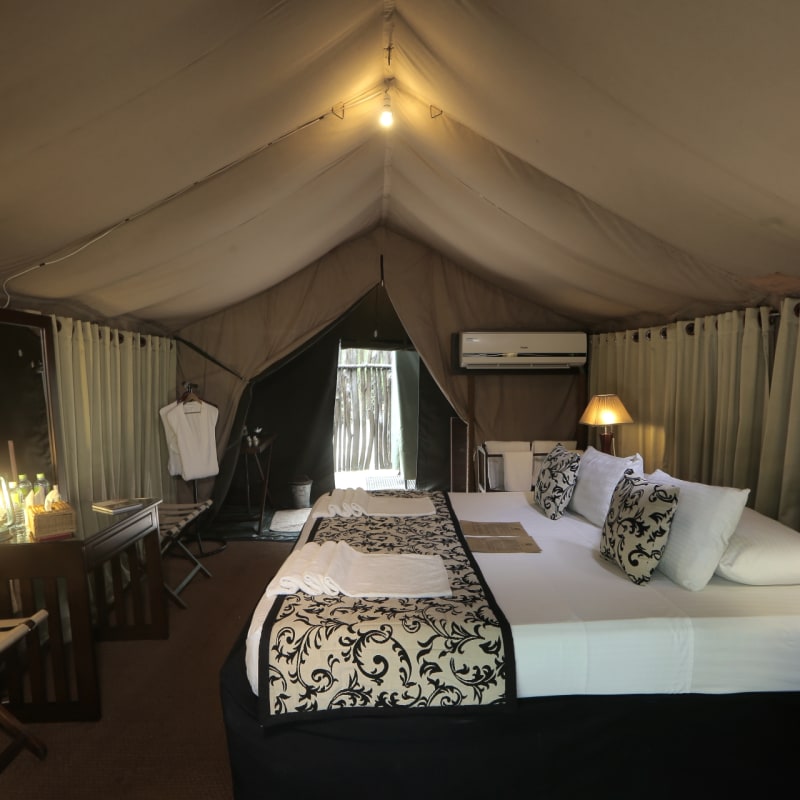 Tent Interior  
