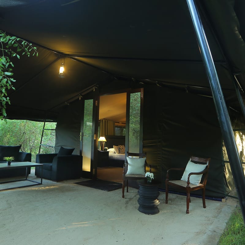 Luxury Room - Leopard Trails