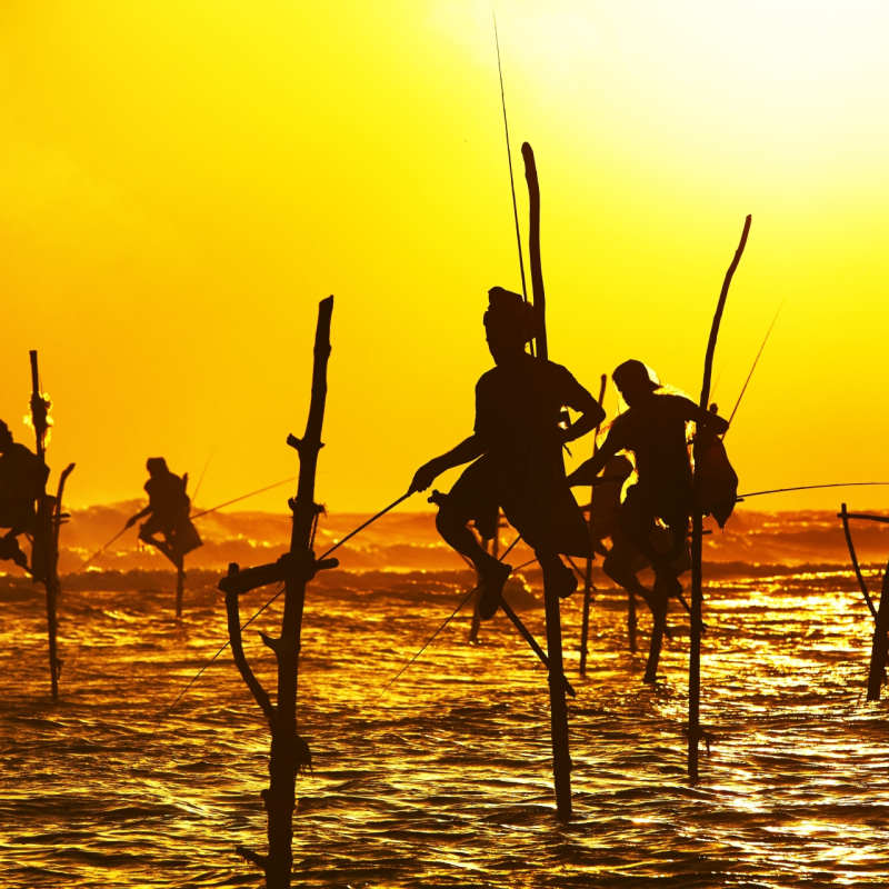 Fisherman on Stilts on South Coast  