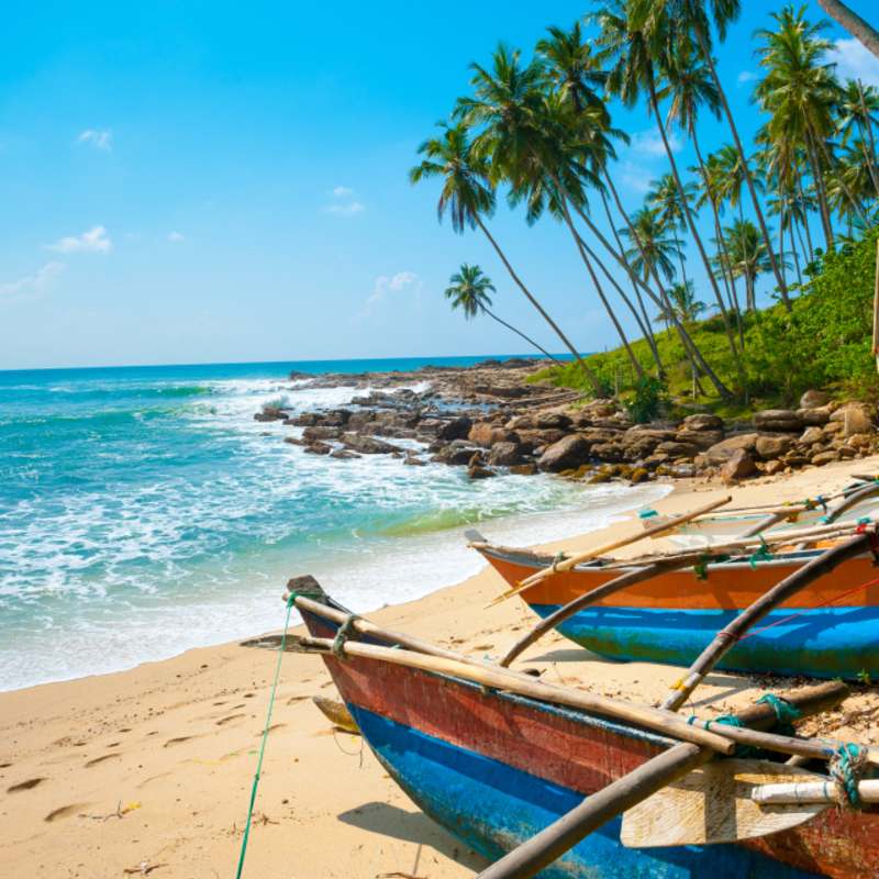 Beach View  