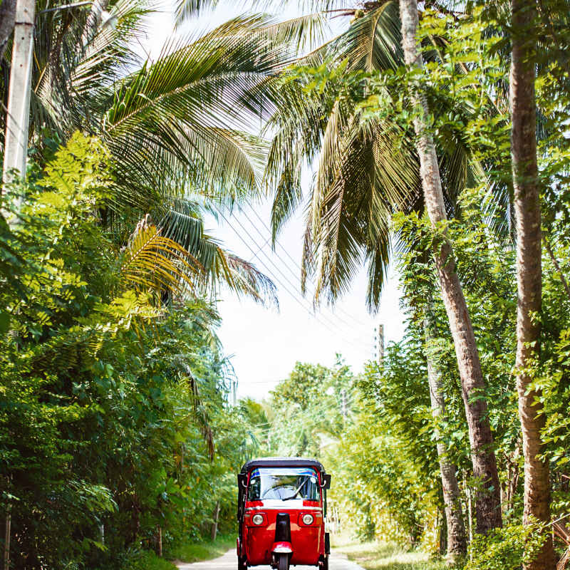 Tuk tuk experince  