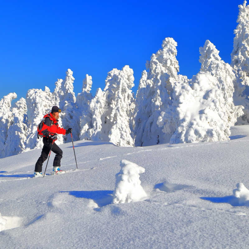 Snowshoeing 