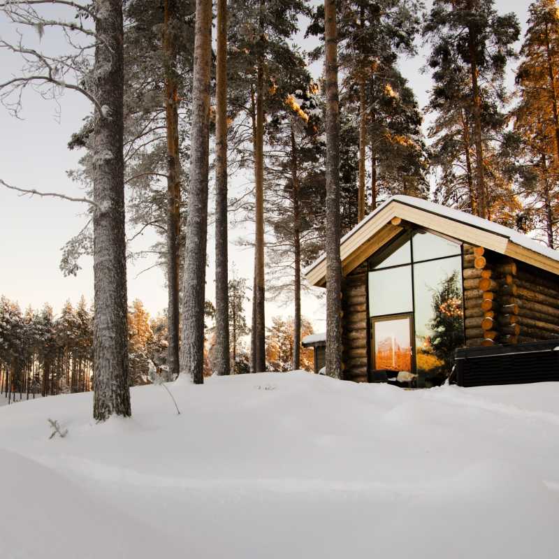 Arctic Retreat 
