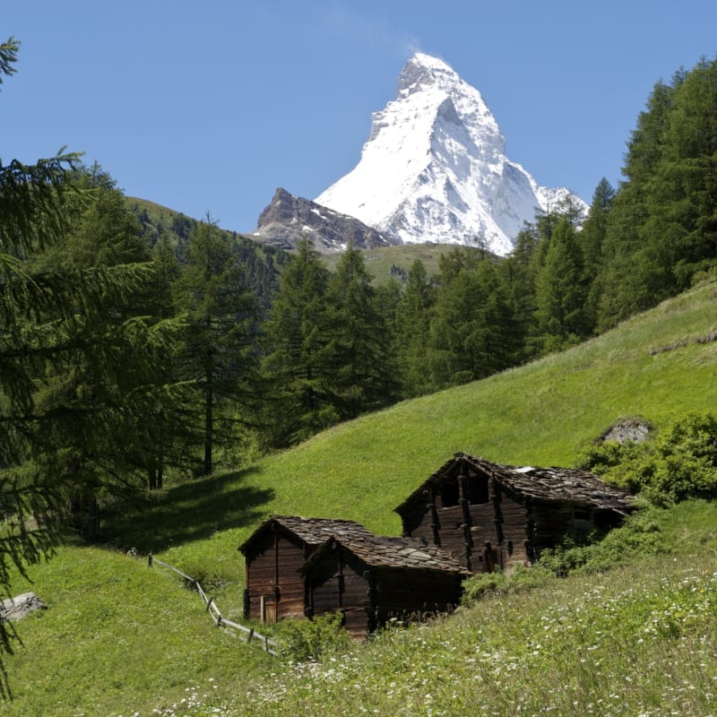 Matterhorn View 