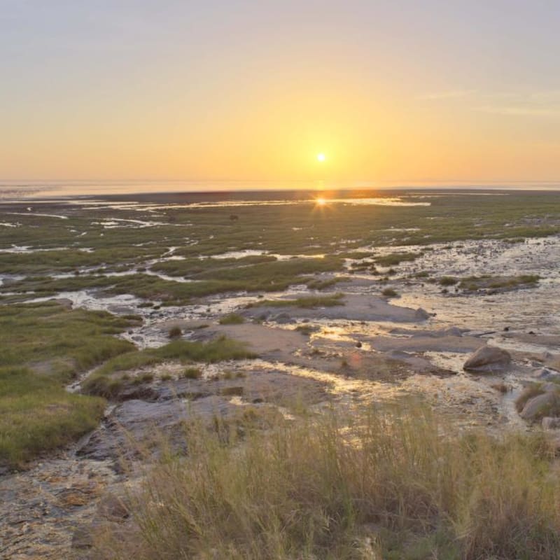 Sunset - Lake Manyara Tree Lodge