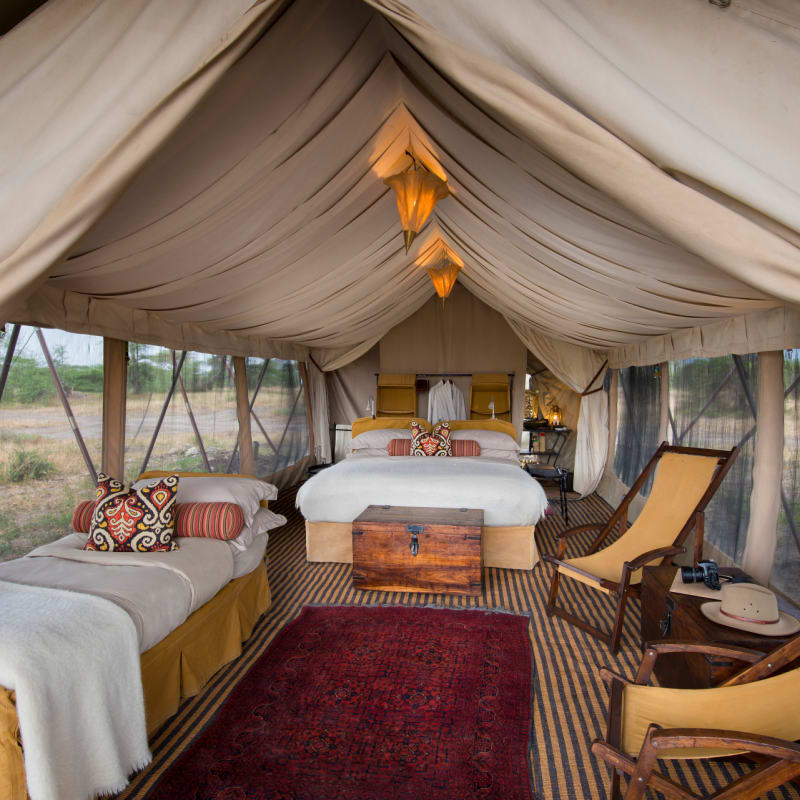 Tent 